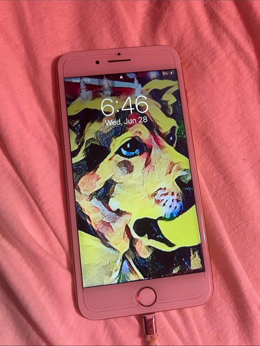 Apple iPhone White and Pink Front Display